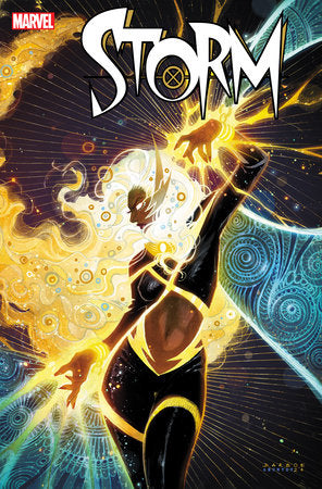 STORM #4 KAREN DARBOE VARIANT *RELEASE DATE: 1/15/25* (DH D8)