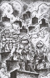 Teenage Mutant Ninja Turtles #10 Cover B *RELEASE DATE 7/16/25* *(DH W2)* *(DH H4)*