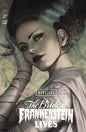 UNIVERSAL MONSTERS THE BRIDE OF FRANKENSTEIN LIVES #1 (OF 4) *RELEASE DATE 10/28/26*