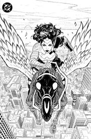 ABSOLUTE WONDER WOMAN NOIR EDITION #1 (ONE SHOT) CVR C HAYDEN SHERMAN FOIL VAR *RELEASE DATE: 11/27/24*