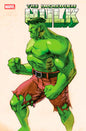 INCREDIBLE HULK #24 BENGUS MARVEL VS. CAPCOM VARIANT *RELEASE DATE 4/9/25* *(DH A16)*