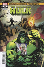 INCREDIBLE HULK #26 *RELEASE DATE 6/25/25* *(DH A16)*
