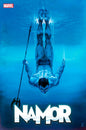 NAMOR #1 ALEX MALEEV VARIANT *(DH E6)*