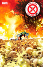 RISE OF THE POWERS OF X #4 [FHX] *RELEASE DATE: 4/24/24* *(DH E4)*