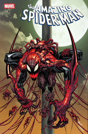 AMAZING SPIDER-MAN #27 [DS] *RELEASE DATE 4/22/26* *(DH B6)*
