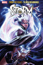 STORM #1 ALEXANDER LOZANO VARIANT[1:25] *RELEASE DATE: 10/2/24* *(DH J1)*