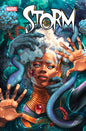 STORM #2 *RELEASE DATE: 11/20/24*