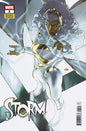STORM #5 TAURIN CLARKE BLACK HISTORY MONTH VARIANT [DOOM] *RELEASE DATE: 2/19/25* (DH D8)