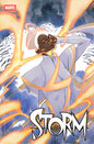 STORM #7 MARGUERITE SAUVAGE STORM VARIANT *RELEASE DATE 4/9/25* (DH D8)