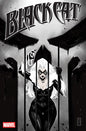 BLACK CAT #13 *RELEASE DATE 8/26/26* (DH C13)