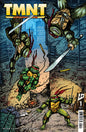 TMNT: Journeys #1 Cover A (Laird & Dooney) *RELEASE DATE 8/20/25* *(DH Z5)*