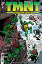 TMNT: Journeys #2 Cover A (Laird & Dooney) *RELEASE DATE: 10/8/25* *(DH Z3)* / *(DH Z5)*