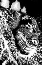 The Horror of Godzilla [Kai-Sei Era] #1 *RELEASE DATE 7/29/26*