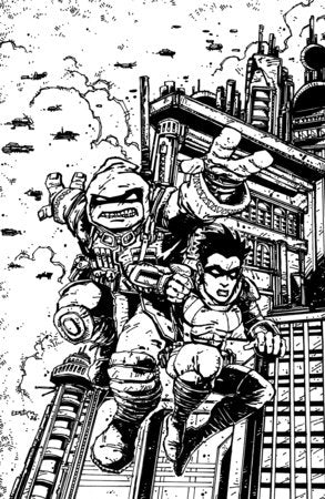Teenage Mutant Ninja Turtles: The Last Ronin--Training Day