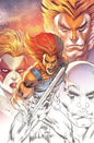 THUNDERCATS #1 2ND PTG CVR B 10 COPY INCV LIEFELD VIRGIN