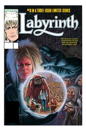 JIM HENSONS LABYRINTH ARCHIVE ED #3 (OF 3) CVR A PALMER *(DH Y1)*