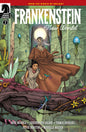Frankenstein: New World #2 Cover B - David Hitchcock Variant *(DH L3)*