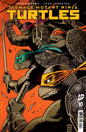 Teenage Mutant Ninja Turtles #10 Cover B *RELEASE DATE 7/16/25* *(DH W2)* *(DH H4)*