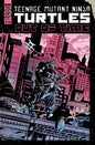TEENAGE MUTANT NINJA TURTLES ANNUAL 2023 CVR A *(RELEASE DATE 07/12/23)*  *(DH T2)*
