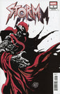 Storm #5 (DH D8)
