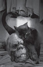 RED ROOTS #1 *RELEASE DATE 4/29/26*  *(DH G9)*